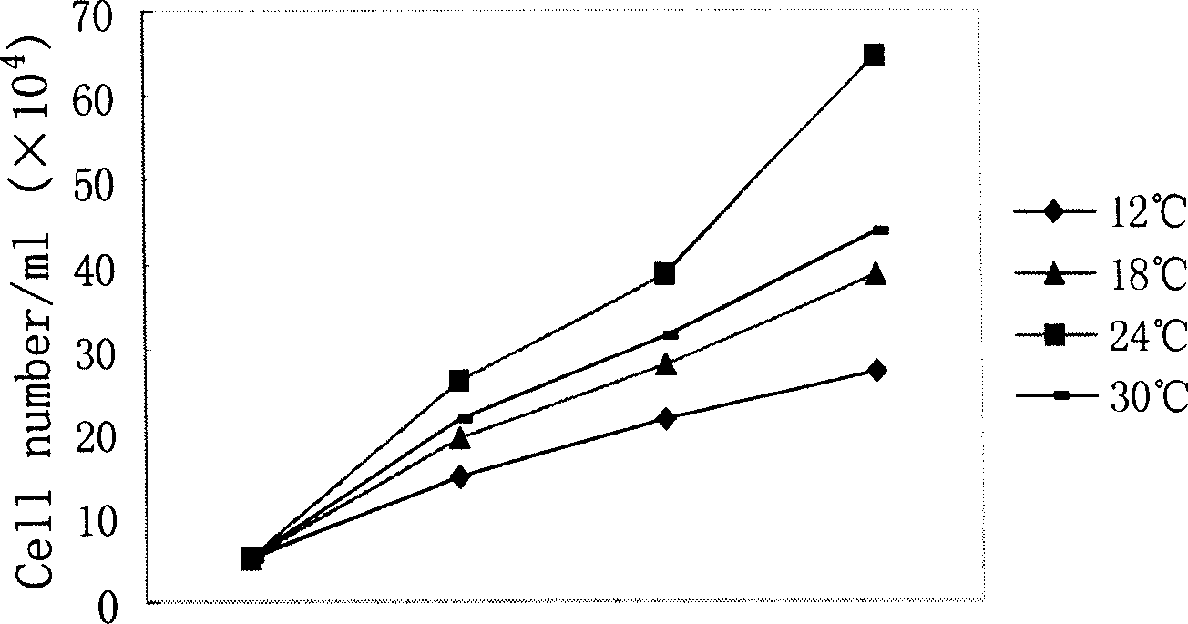 Fish embryo cell separation and culturing method