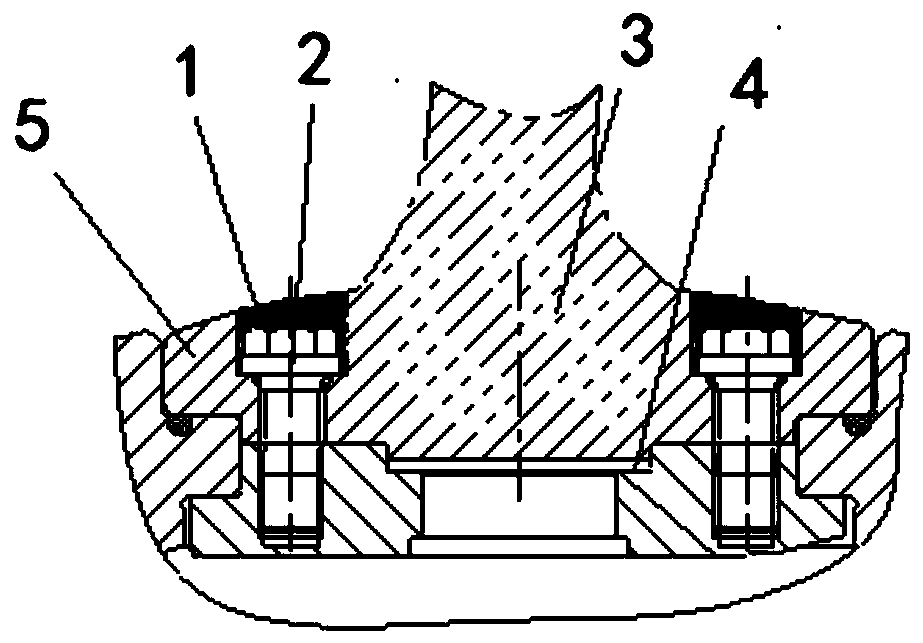 Protection device and method for controllable-pitch propeller blade root bolt