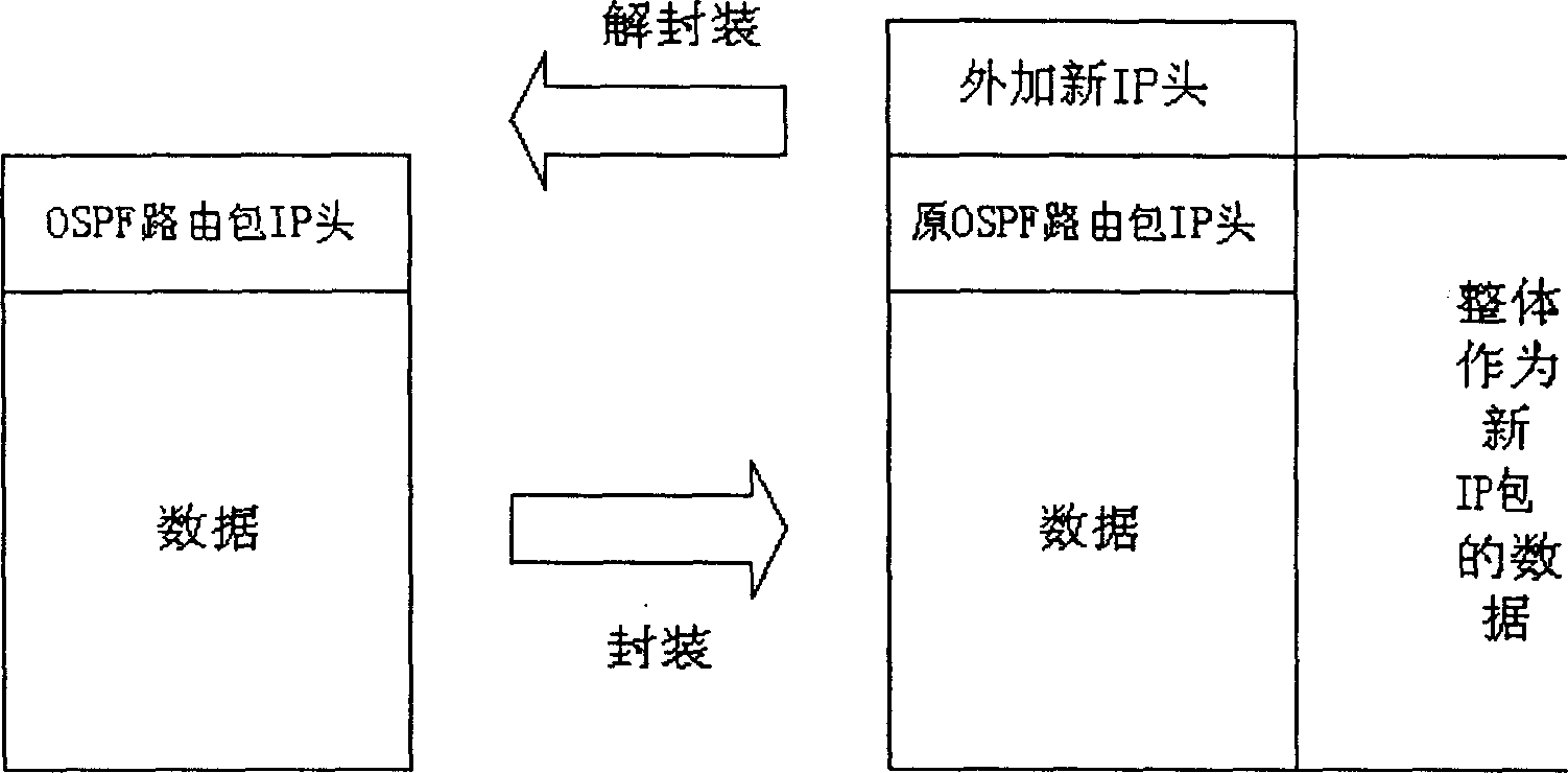 Method for delivering link state information to pass through network