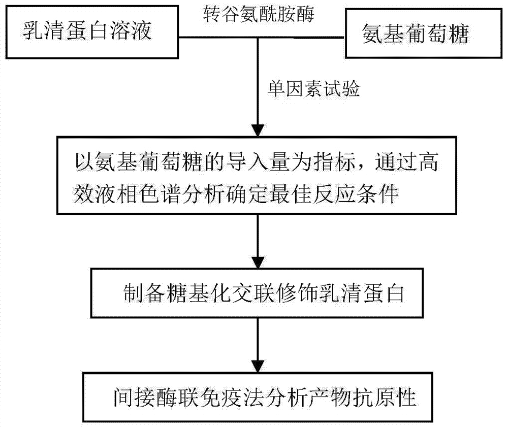 A kind of hypoallergenic whey protein powder based on enzymatic glycosylation modification and preparation method thereof