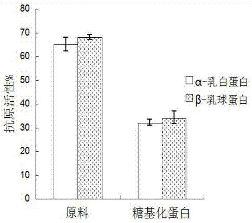 A kind of hypoallergenic whey protein powder based on enzymatic glycosylation modification and preparation method thereof