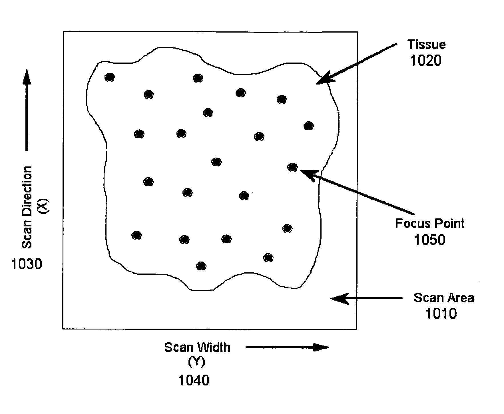 System and method for assessing virtual slide image quality