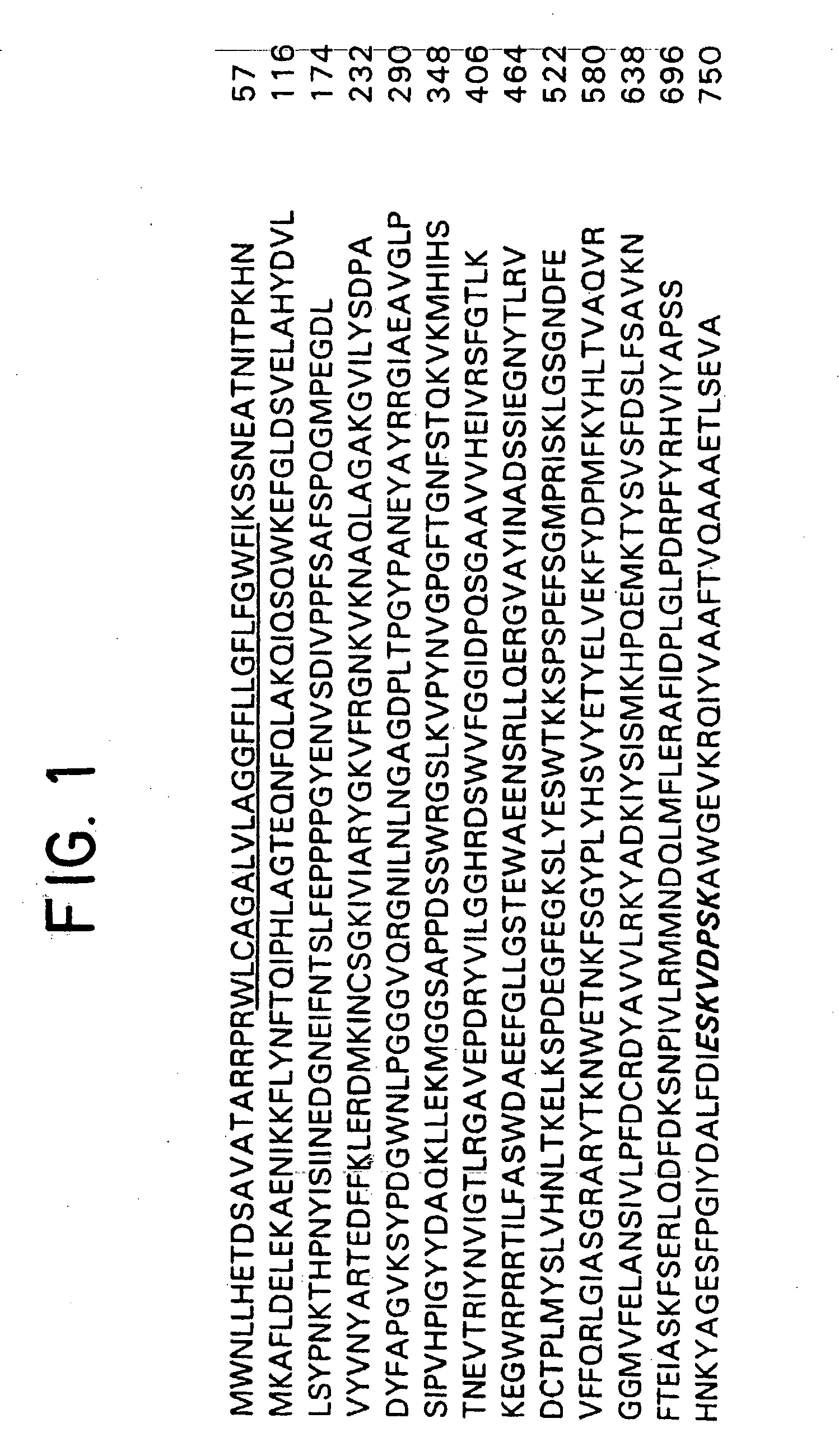 Monoclonal antibody specific for the extracellular domain of prostate specific membrane antigen