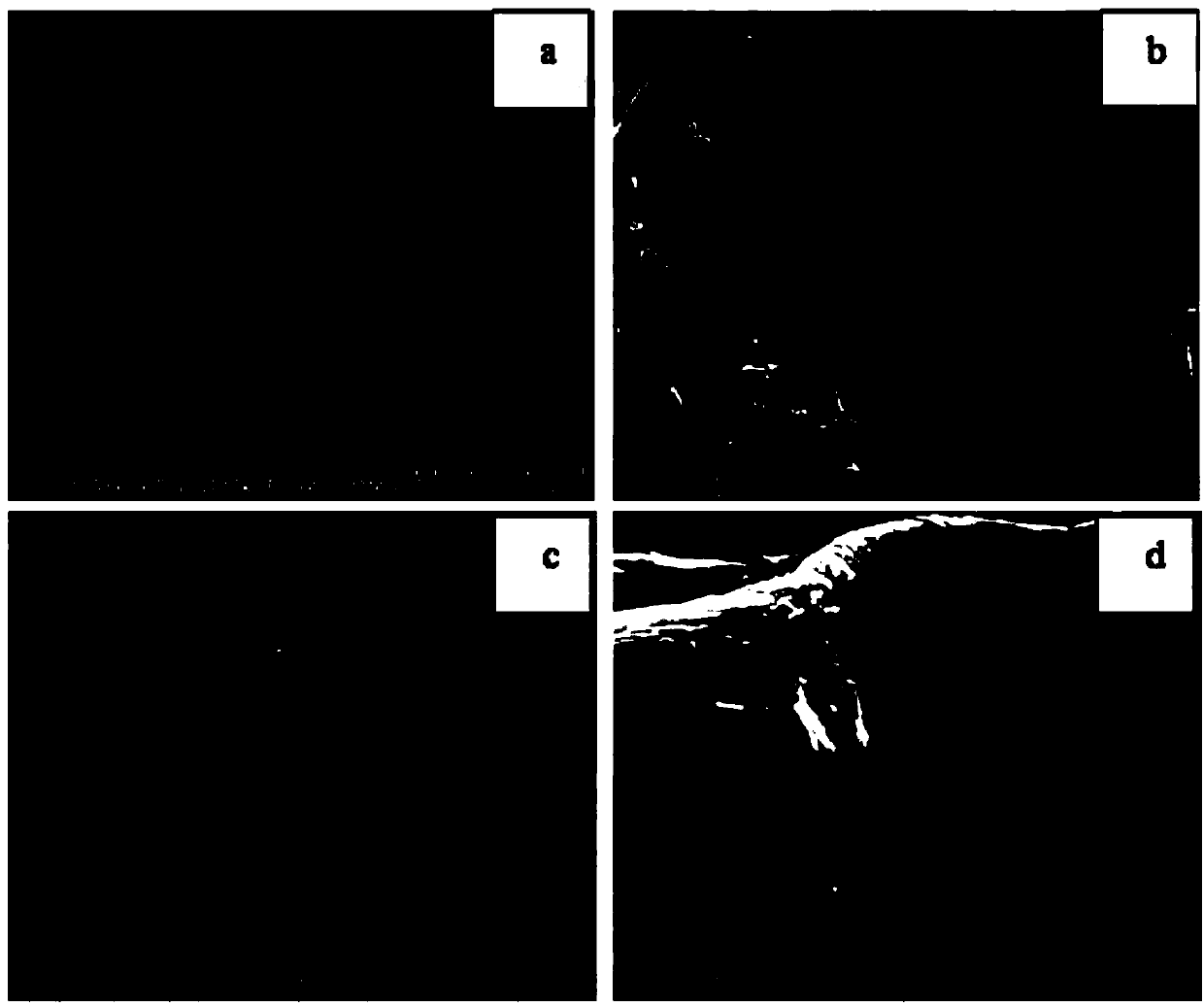 Graphite-hard carbon coated material and preparation method thereof