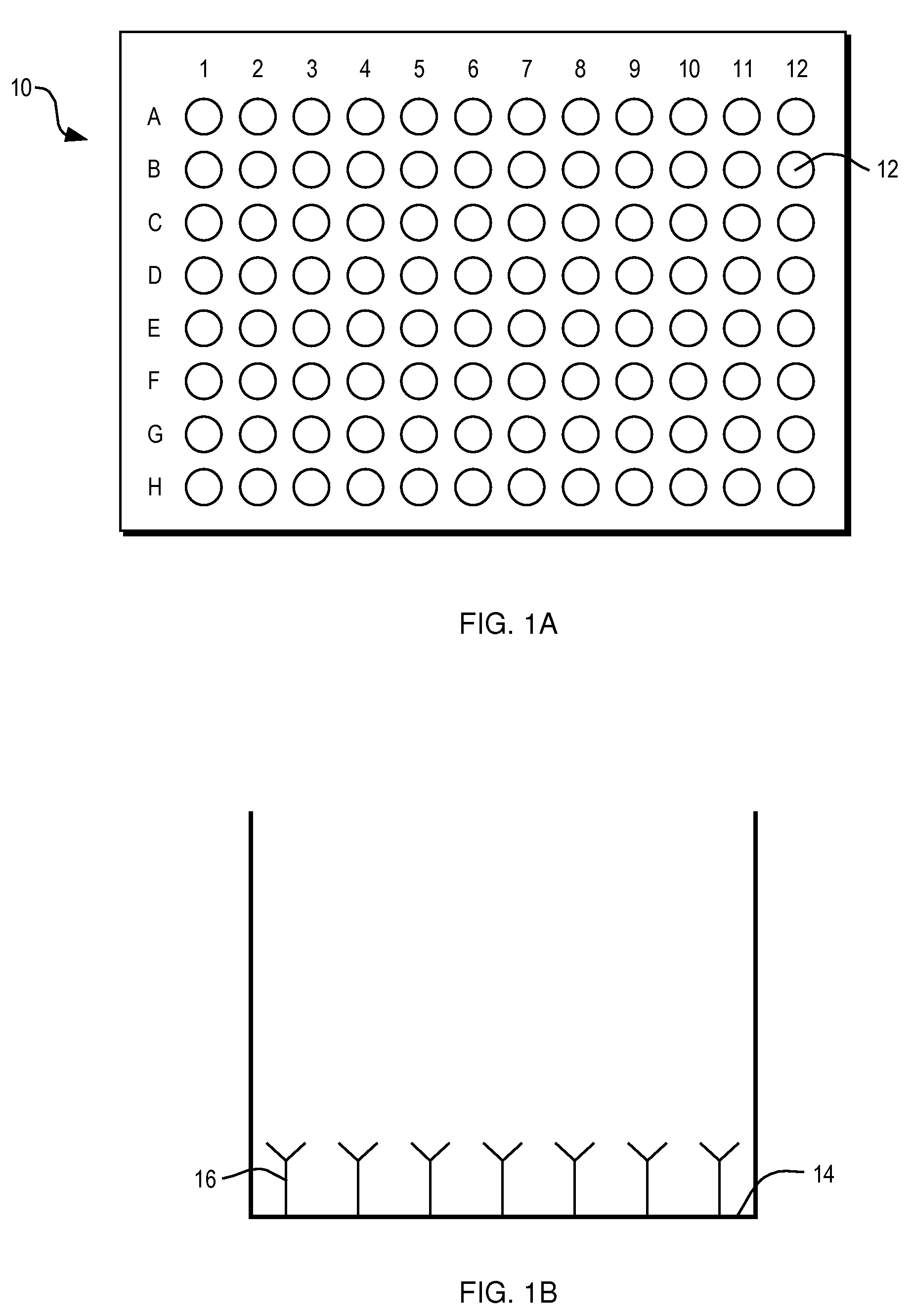 Device, kit and method for hookworm antigen capture and detection