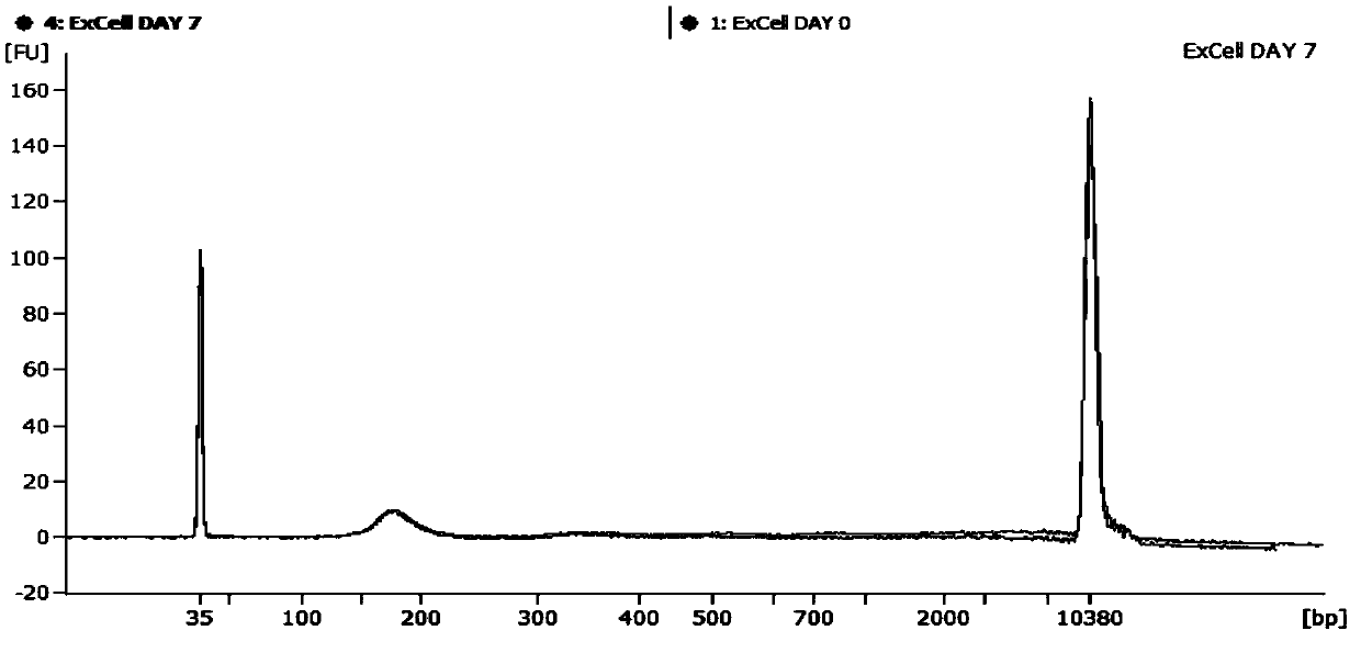 Free DNA blood preservative for preventing hemolysis and applications thereof