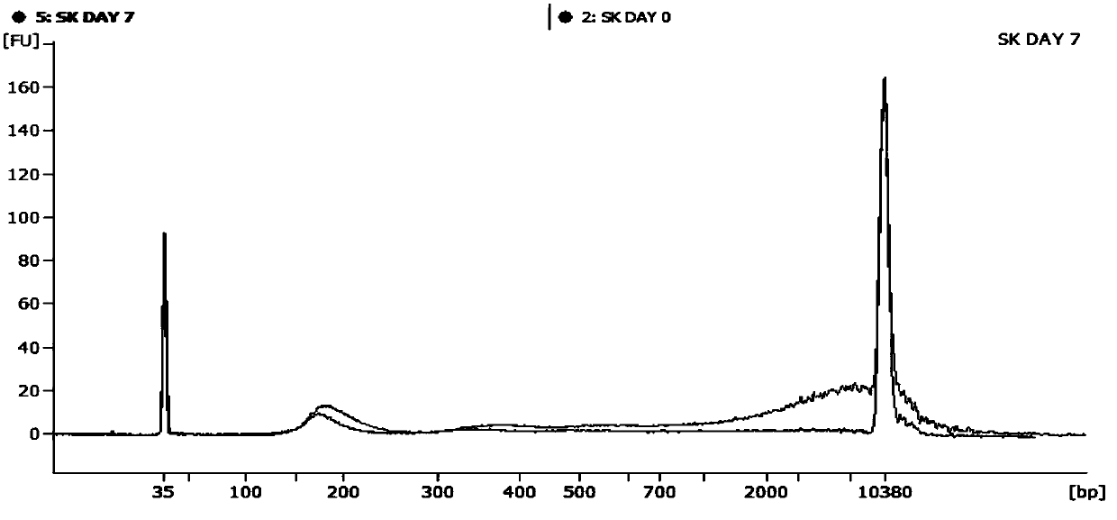 Free DNA blood preservative for preventing hemolysis and applications thereof