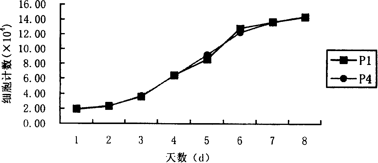 Monoclonal antibody ZUB1 of human bone marrow mesenchymal stem cells and application thereof