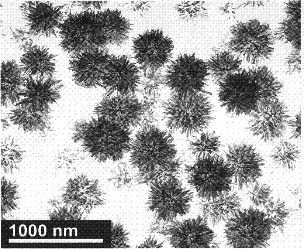 Preparing method of sea-urchin-shaped amorphous Ni-B alloy nanometer materials