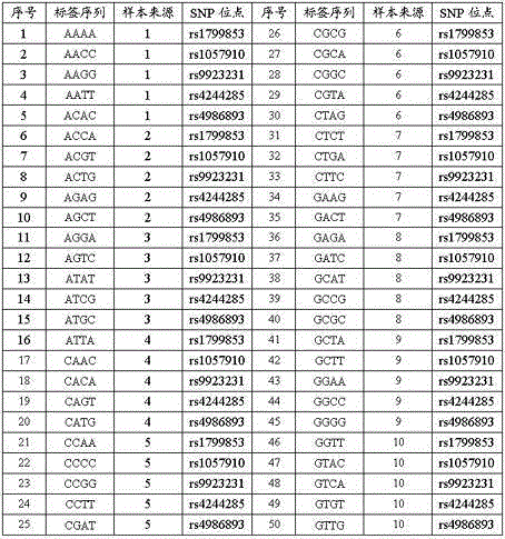 SNP typing method and kit