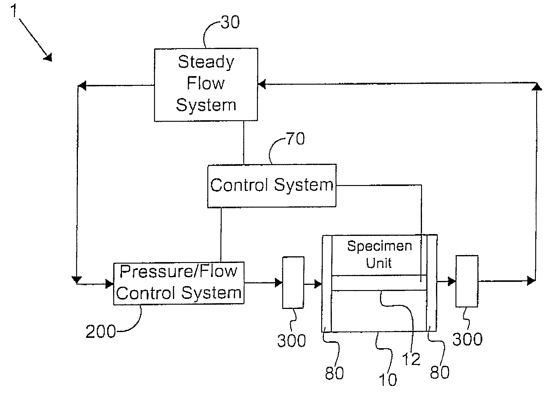 Systems and methods of promoting endothelialization of a hybrid hemodialysis access graft or a hybrid femoral artery bypass graft in a mammal