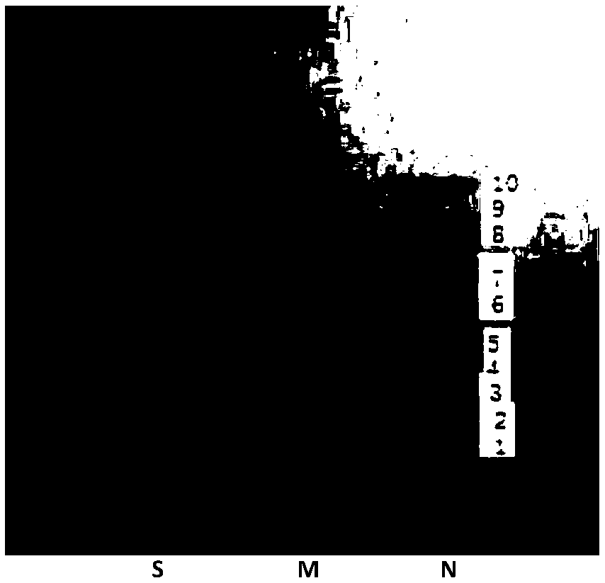 Ginseng extract reference substance as well as preparation method and application thereof