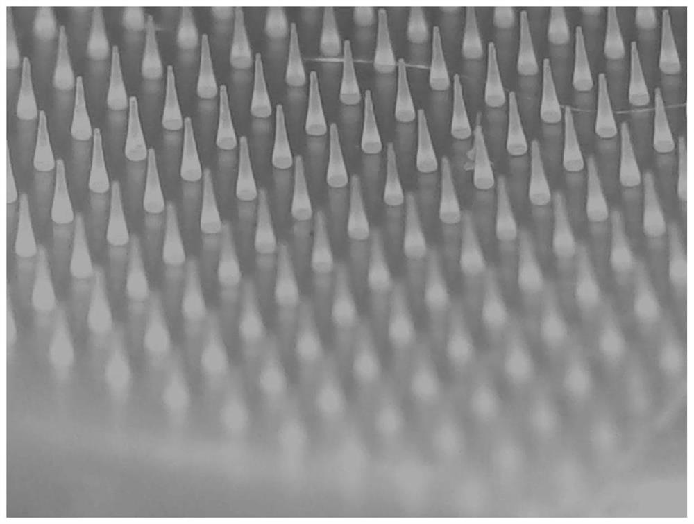 Somaglutide microneedle patch capable of reducing blood glucose and reducing weight as well as preparation method and application thereof