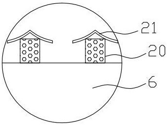 Ultrasonic sea cucumber cleaning and processing equipment