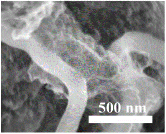 Graphene/carbon nano tube/carbon nanofiber electrocatalyst and preparation method thereof