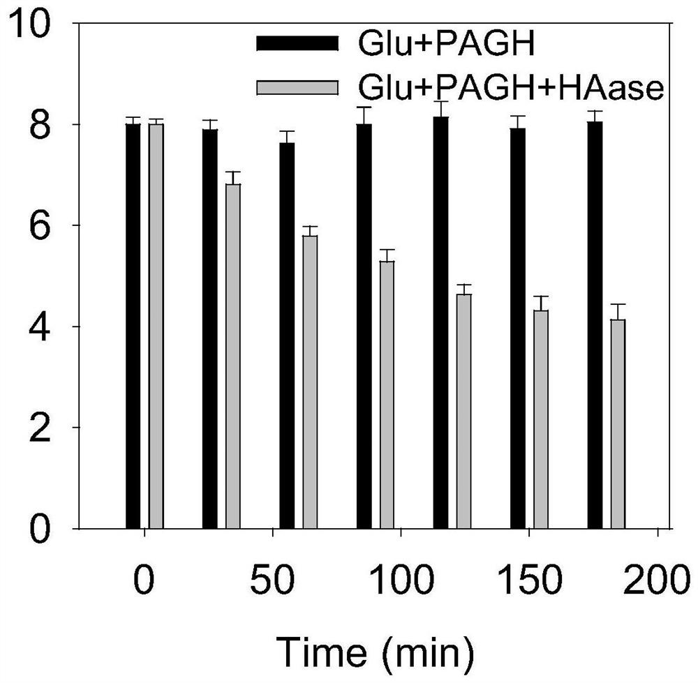 Platinum nano-enzyme/glucose oxidase(at)hyaluronic acid composite antibacterial material as well as preparation and application thereof