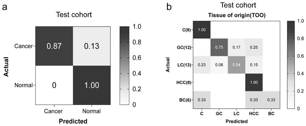 Multi-cancer screening serum biomarker group and application thereof