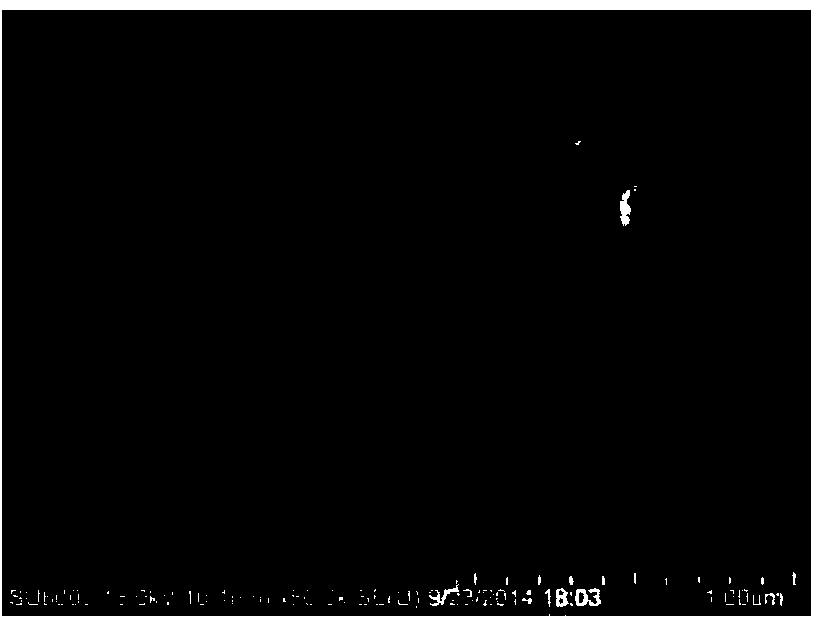 Preparation method of underwater super-oleophobic modified polyvinylidene fluoride membrane