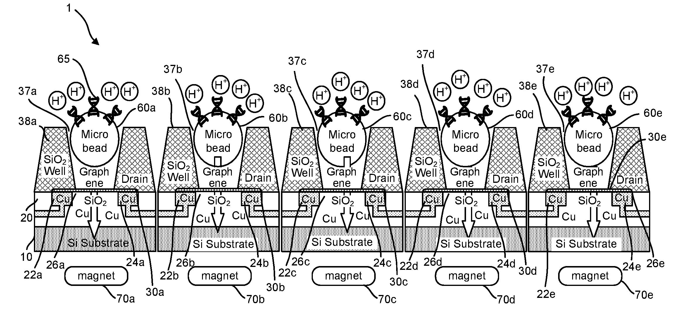 Graphene fet devices, systems, and methods of using the same for sequencing nucleic acids