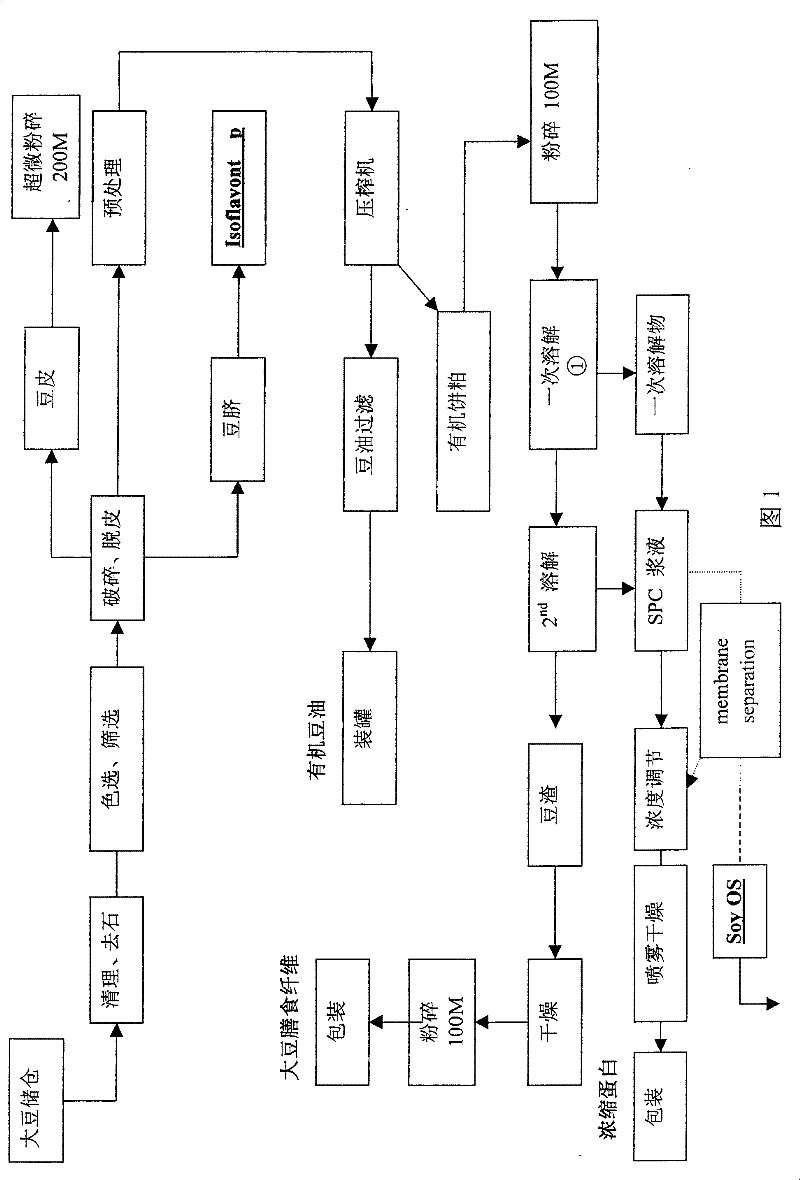 Method for producing organic concentration protein of soybean