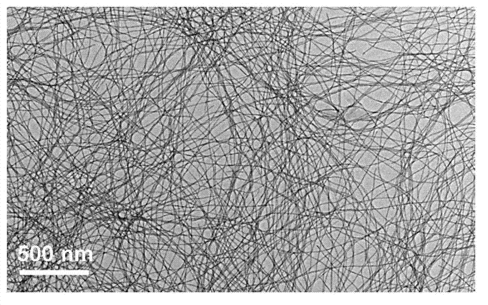 Preparation method and application of tellurium-based precious metal alloy nanowire catalyst