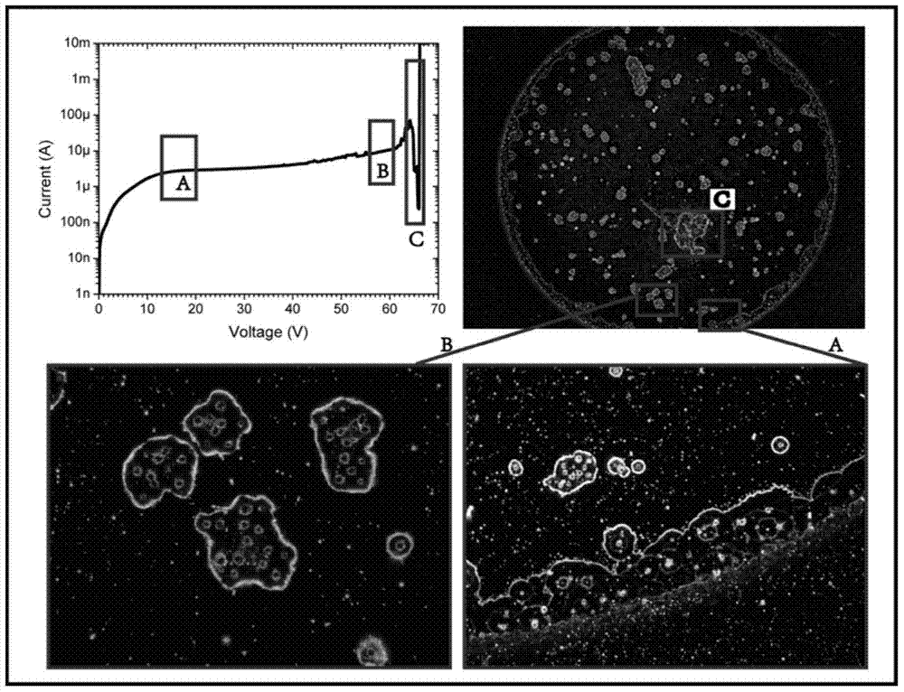 A real-time test and analysis system for thin film electrical characteristics and breakdown characteristics