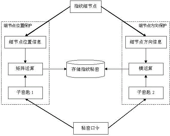 Fingerprint Details Information Hiding and Restoration Method Based on Orthogonal Matrix and Modulo Operation