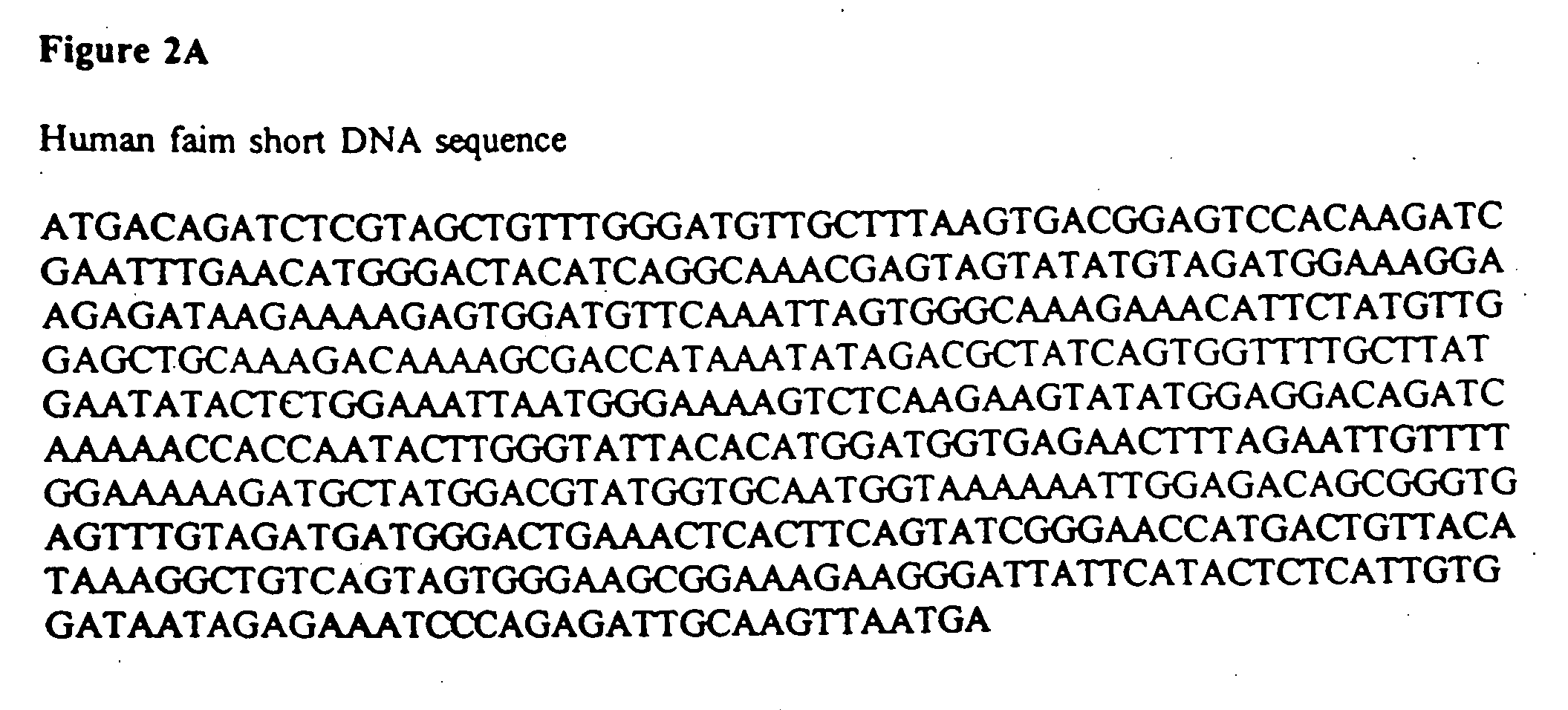 Novel genes and methods that modulate apoptosis