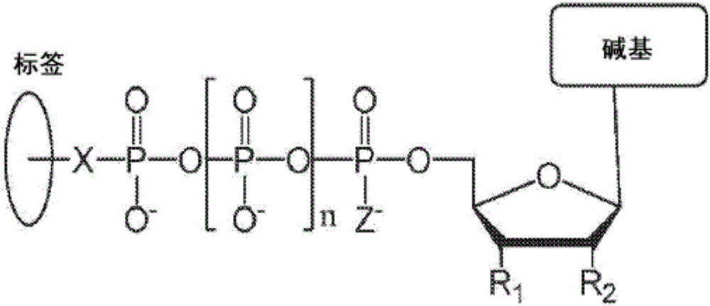 Chemical methods for producing tagged nucleotides