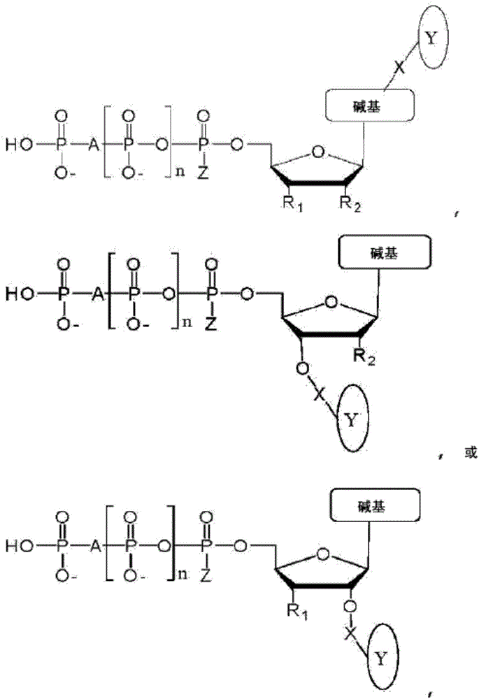 Chemical methods for producing tagged nucleotides