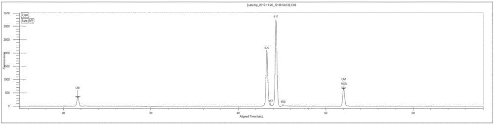 Multiple PCR primer pair combination for bacterium determination and determination method