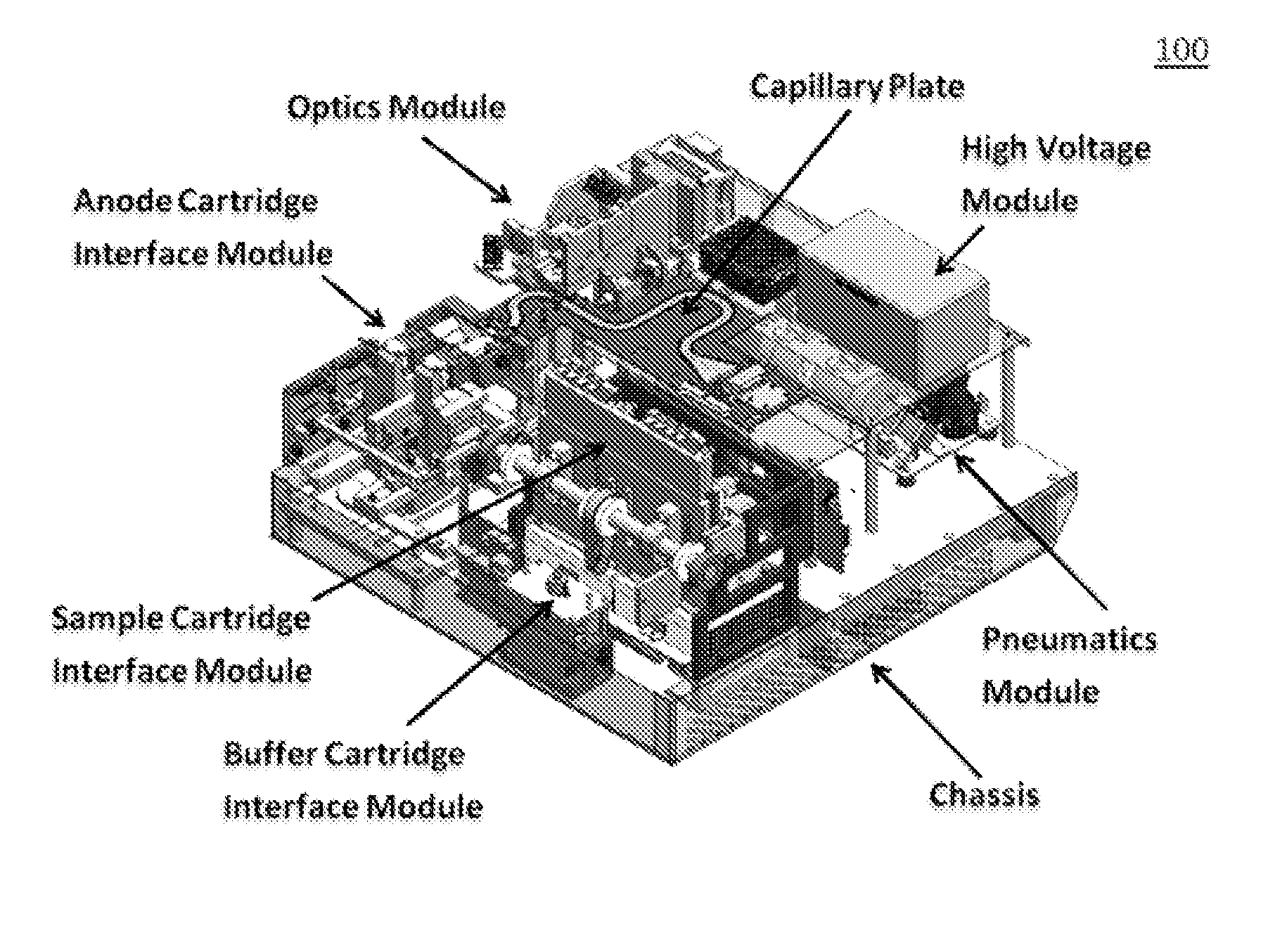 Sample preparation, processing and analysis systems