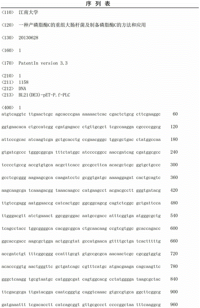 A kind of recombinant escherichia coli producing phospholipase c and the method and application of preparing phospholipase c