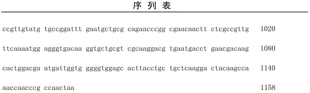 A kind of recombinant escherichia coli producing phospholipase c and the method and application of preparing phospholipase c