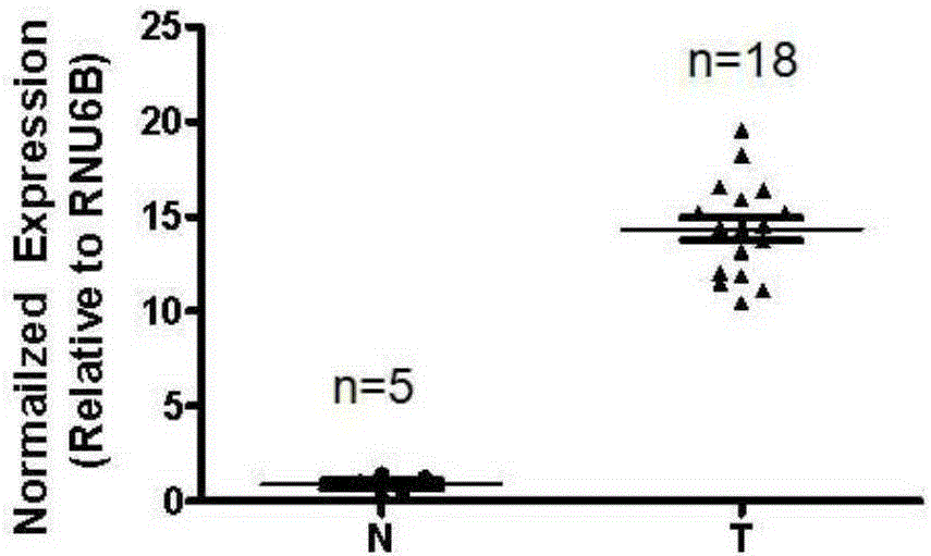 Application of long-chain non-coding RNA (ribonucleic acid) gene LOC553103