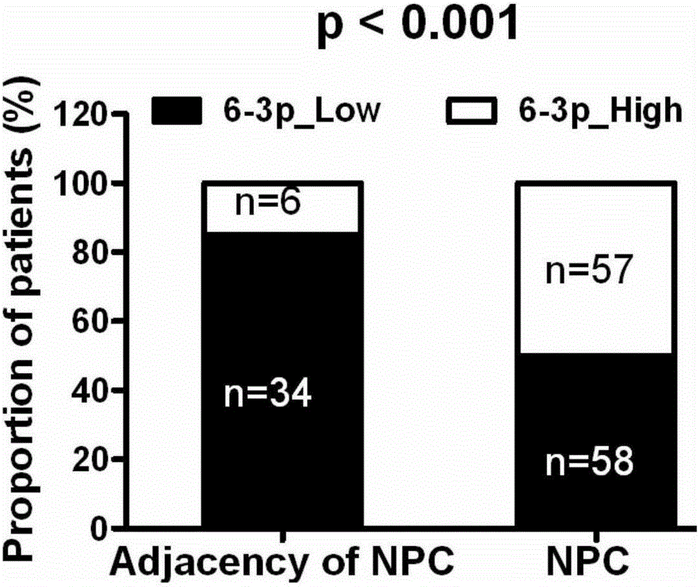 Application of long-chain non-coding RNA (ribonucleic acid) gene LOC553103