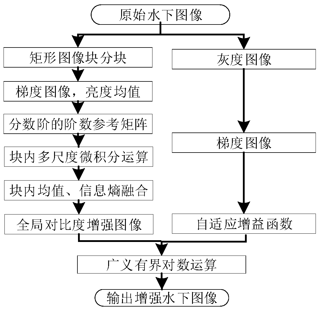 Underwater image enhancement method based on adaptive fractional order multi-scale entropy fusion