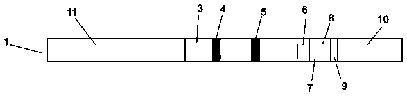 African swine fever virus p72 recombinant protein, monoclonal antibody and test paper