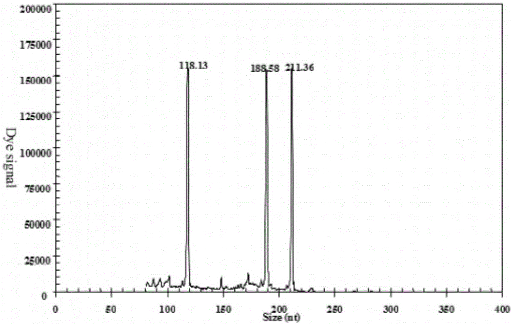 GeXP rapid detection primer group and kit for identifying H5N1 and H9N2 subtype avian influenza viruses synchronously and application of primer group and kit