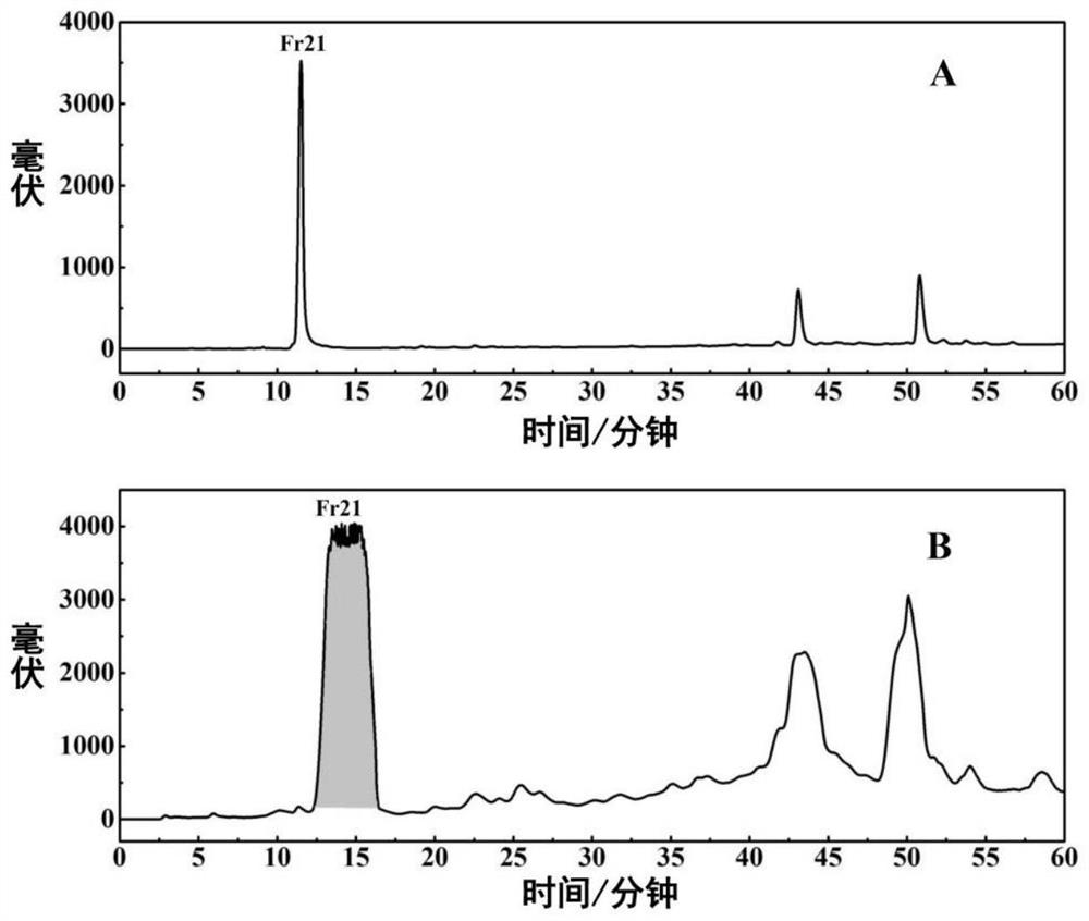 Separation and preparation method of lignan derivatives in thuja arborvitae