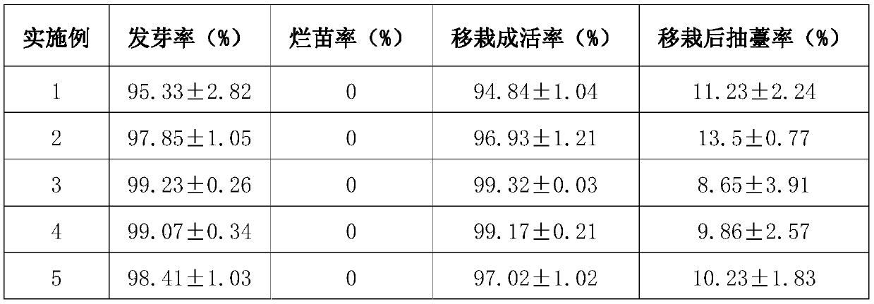 Storage method for Chinese angelica seedlings