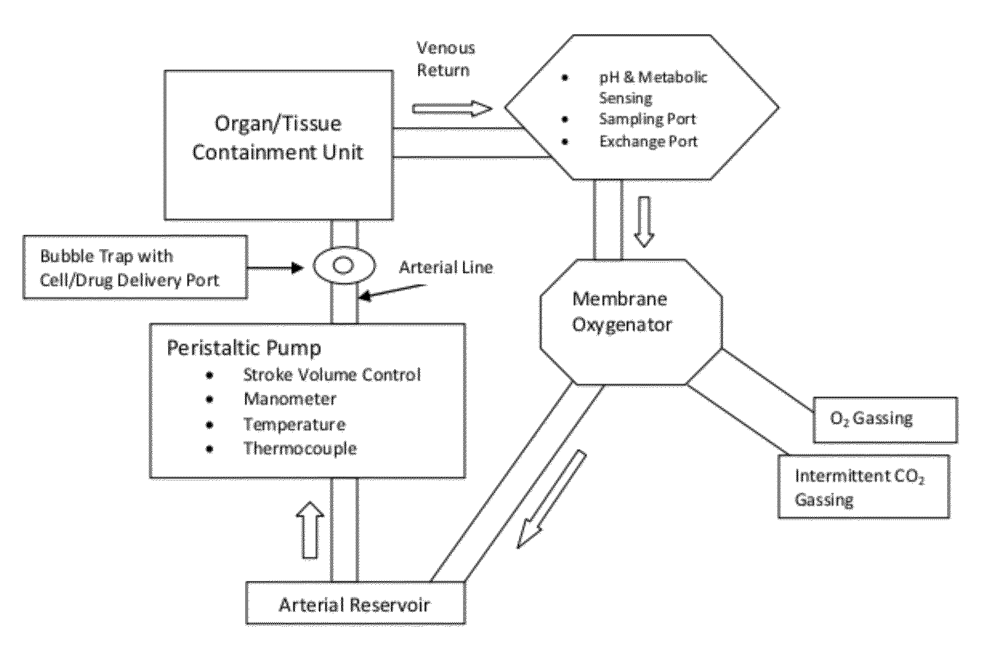 Delivery System for Cell-Based Therapies