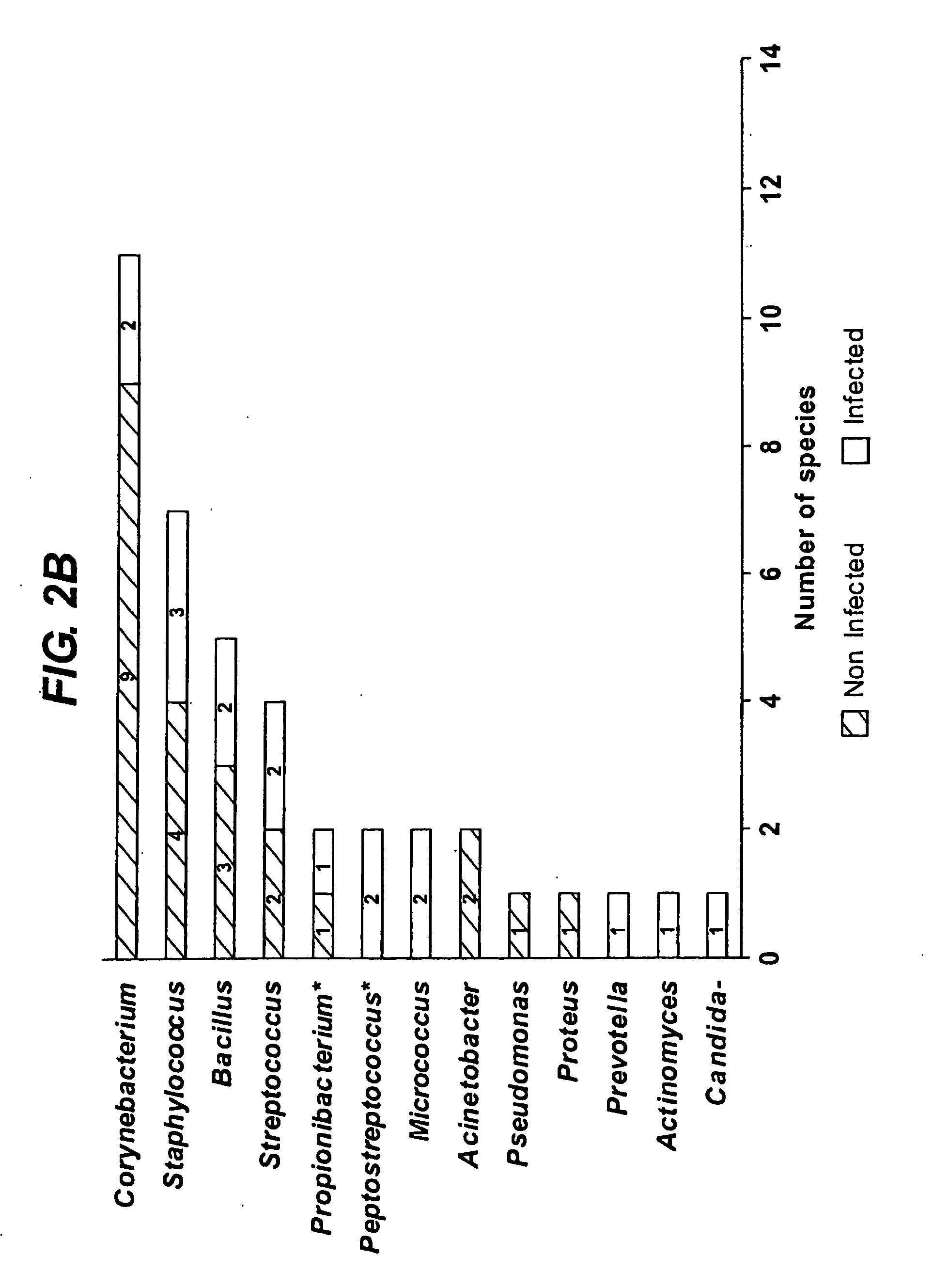 Diagnostic markers of wound infection