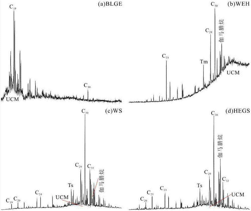 Method for identifying oil sources of mixed crude oil and degraded crude oil