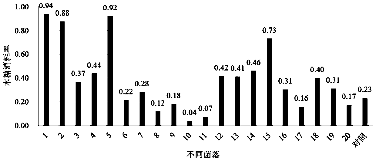 Inhibitor-resistant saccharomyces cerevisiae and selective culture method and application thereof