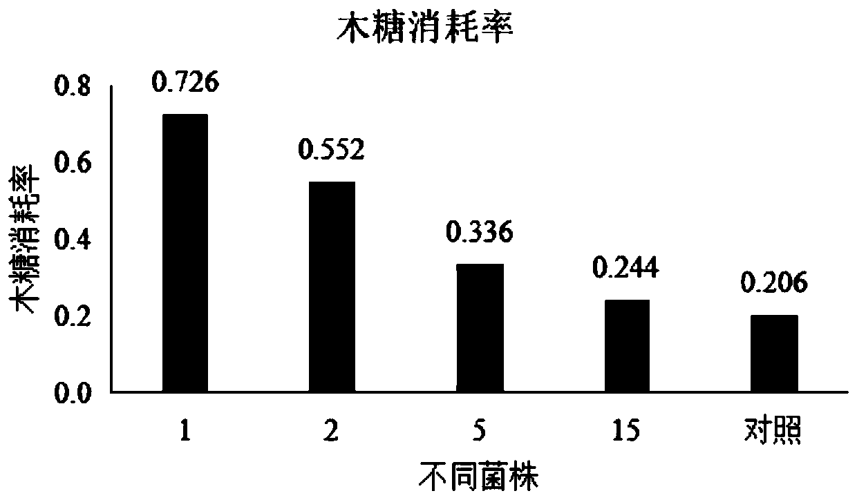 Inhibitor-resistant saccharomyces cerevisiae and selective culture method and application thereof