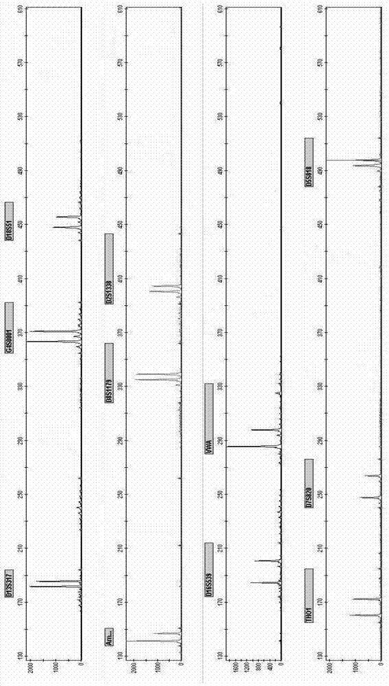 New Short Nucleotide Tandem Repeat Sequence Site and Its Application