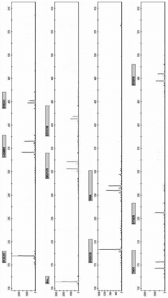 New Short Nucleotide Tandem Repeat Sequence Site and Its Application