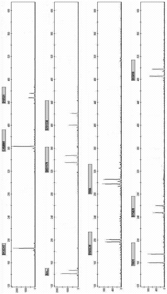 New Short Nucleotide Tandem Repeat Sequence Site and Its Application