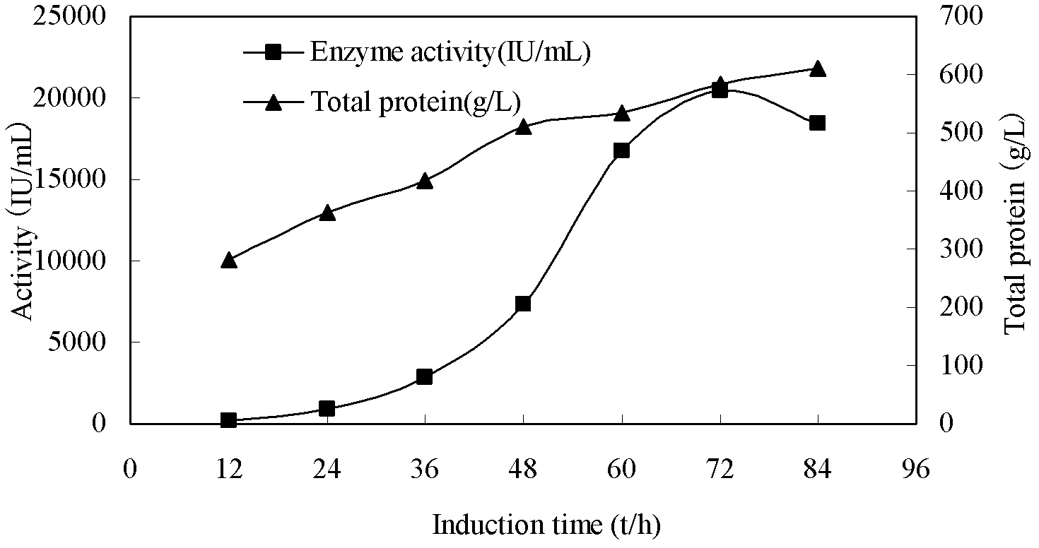 Gene capable of increasing expression level of aspergillus niger xylanase, recombinant plasmid and host cell thereof